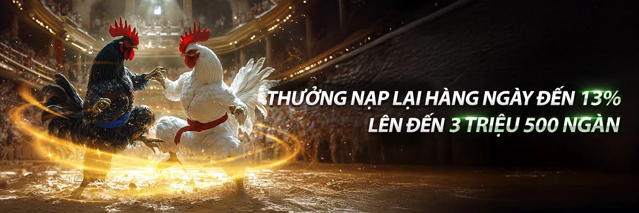 Đá gà trực tuyến manclup - Trường gà Campuchia Thomo hấp dẫn